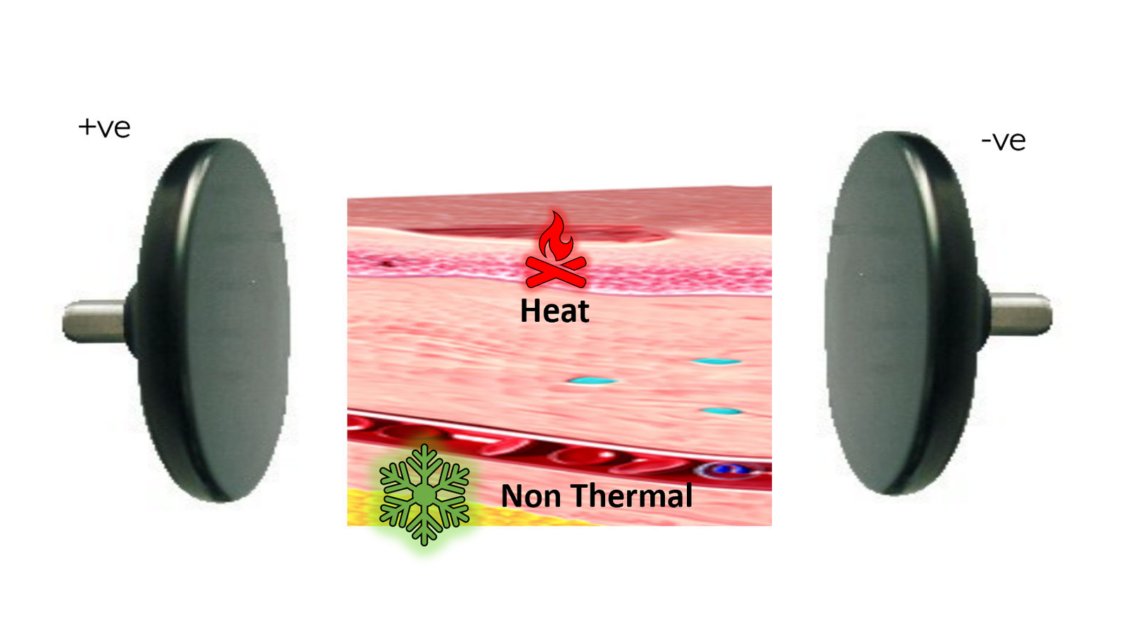 Non Thermal Effects